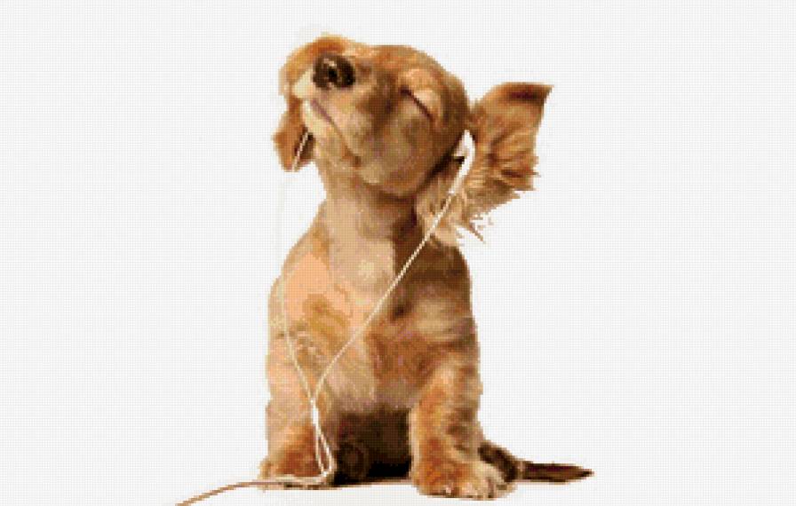 песик - предпросмотр