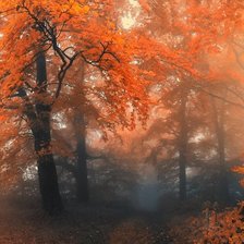 Схема вышивки «осень2»