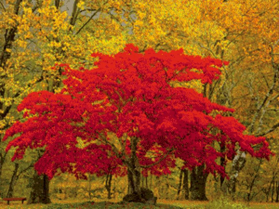 осень3 - предпросмотр