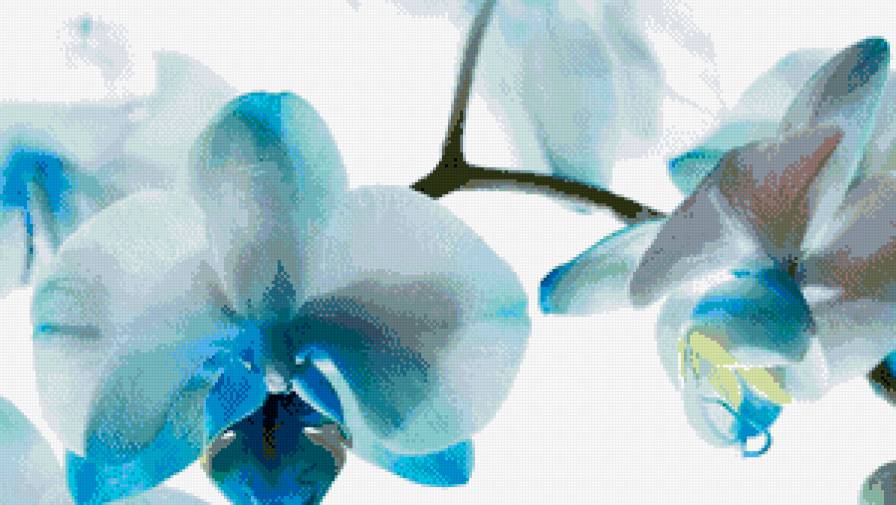 ар1 - предпросмотр