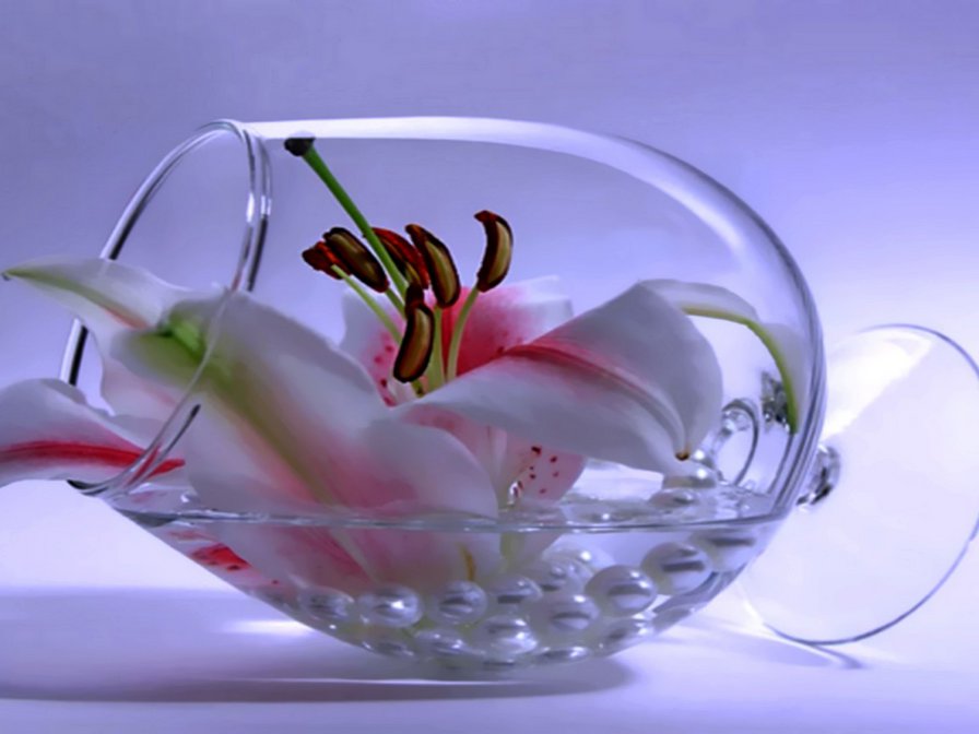 ли - оригинал