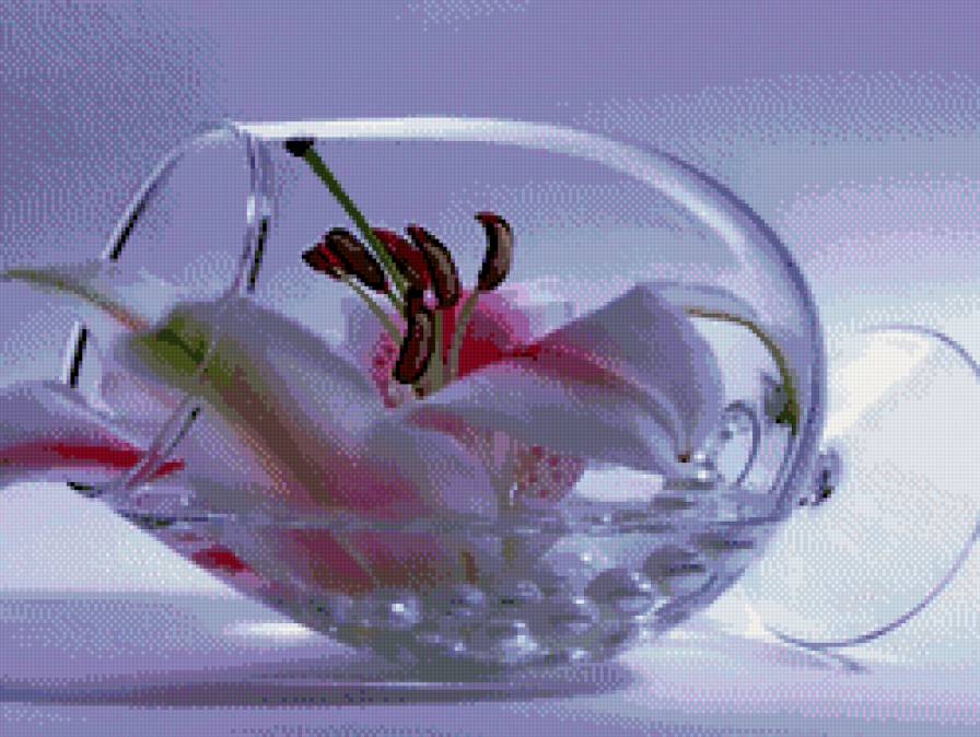 ли - предпросмотр