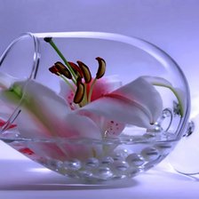 Схема вышивки «ли»