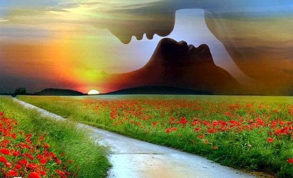 №755894 - оригинал