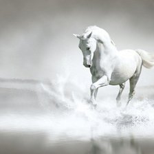 Оригинал схемы вышивки «белая лошадь» (№755898)