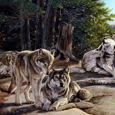 Волчья стая