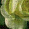 Предпросмотр схемы вышивки «Белые розы» (№756095)