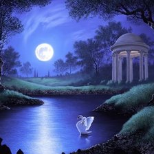 Схема вышивки «Белый лебедь»