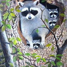 Схема вышивки «№756241»