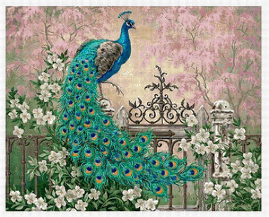 павлин - птицы, цветы - предпросмотр