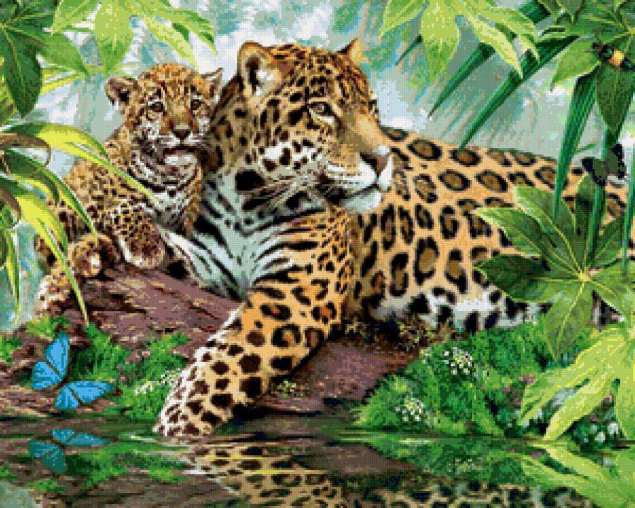 леопард - леопард, дикие животные - предпросмотр