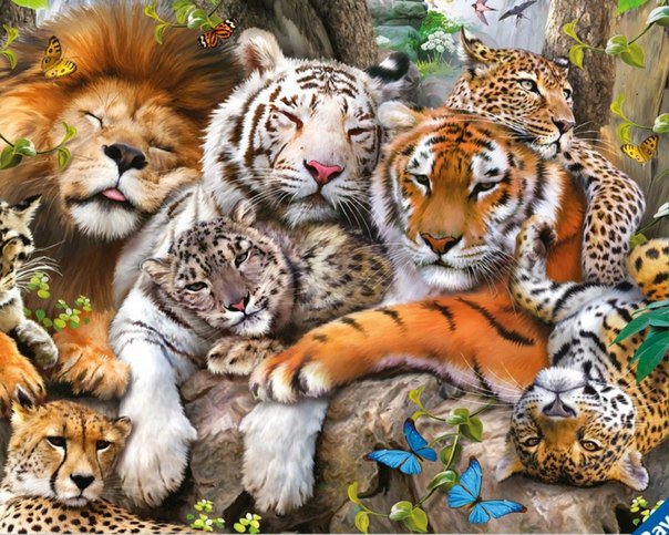 хищники - тигр, дикие животные, лев, леопард - оригинал