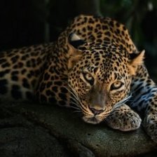 Схема вышивки «Задумался»