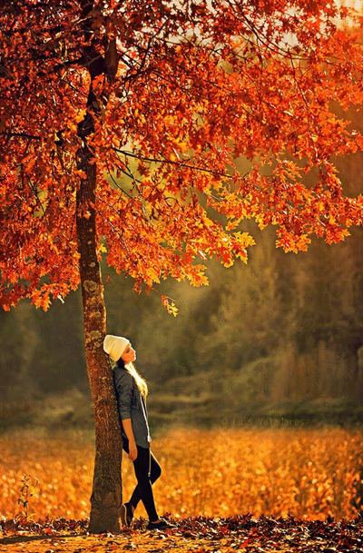 осенняя грусть - девушка, грусть, осень - оригинал
