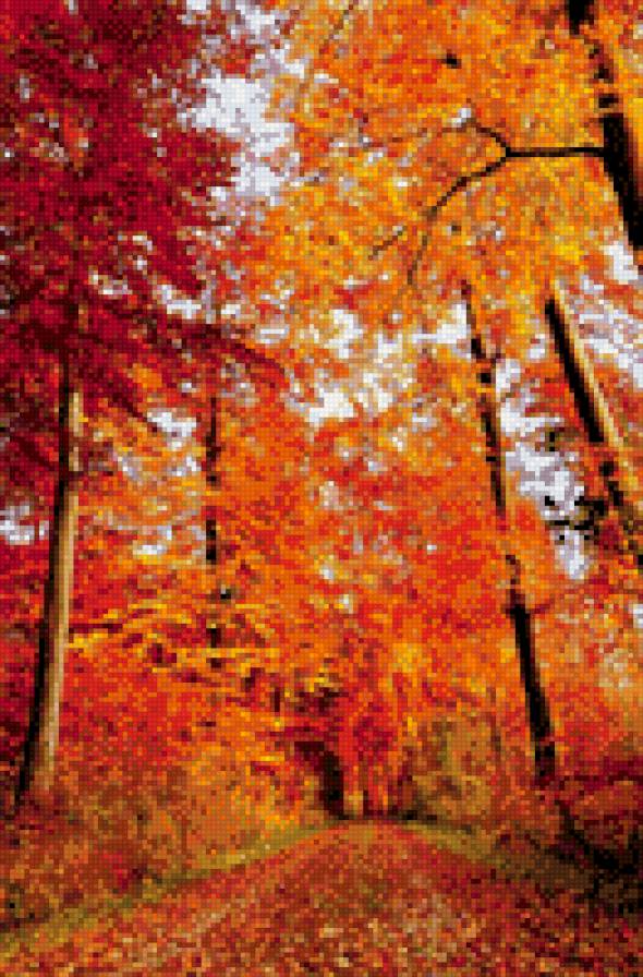 краски осени - осень, пророда, пейзаж - предпросмотр
