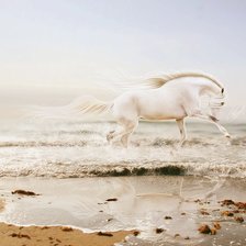 белая лошадка