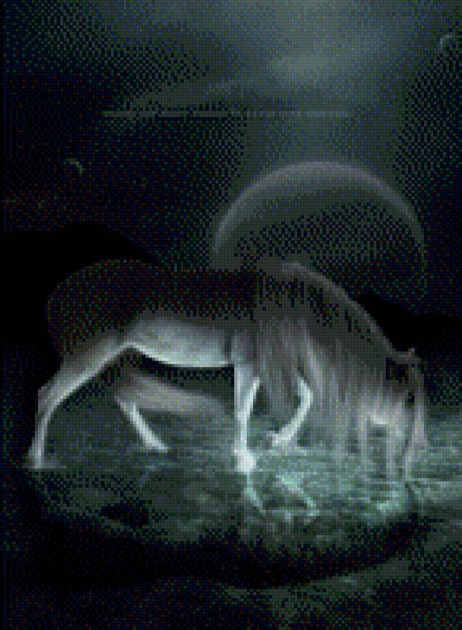 конь - предпросмотр