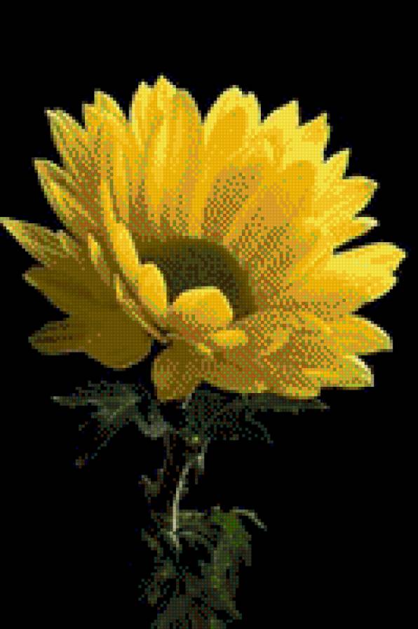 №756700 - цветы, тюльпан - предпросмотр