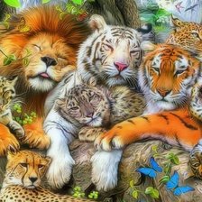 дружба животных