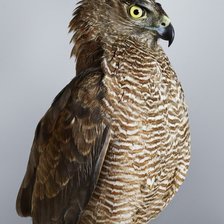 Схема вышивки «№756932»