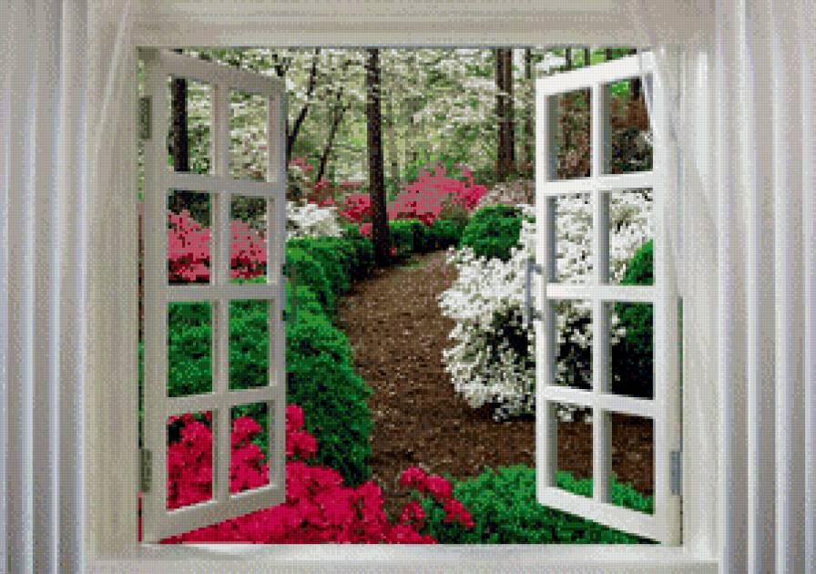 Вид из окна - предпросмотр