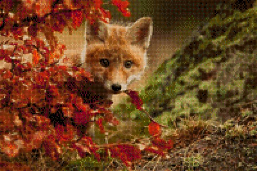 лисёнок - предпросмотр