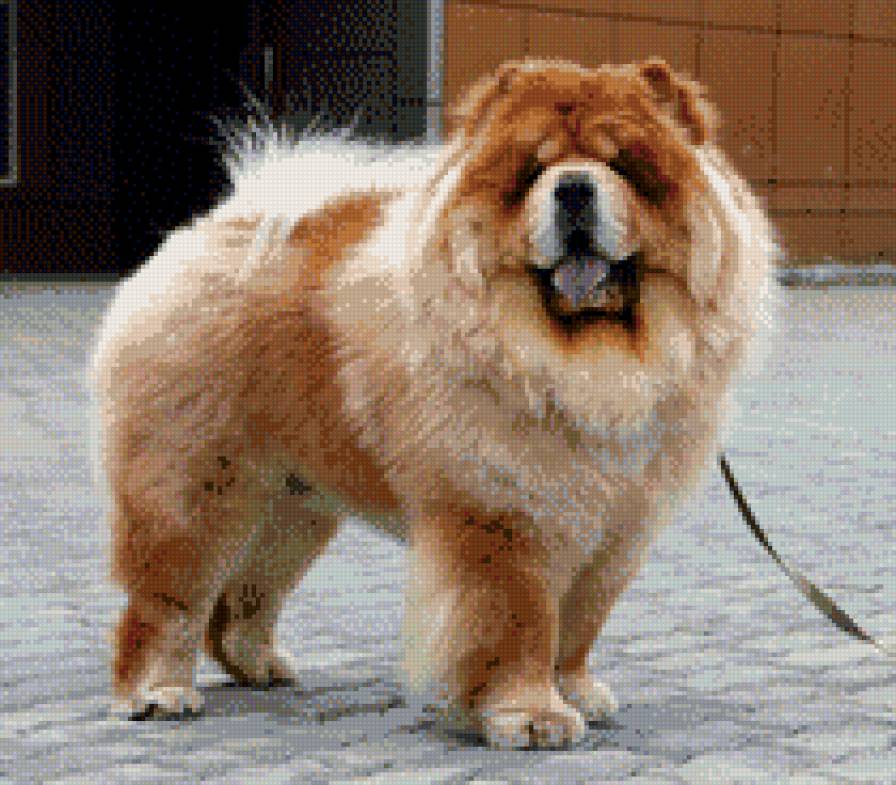 Тай 1 - предпросмотр