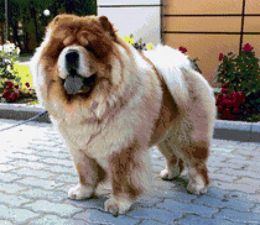 Тай3 - предпросмотр