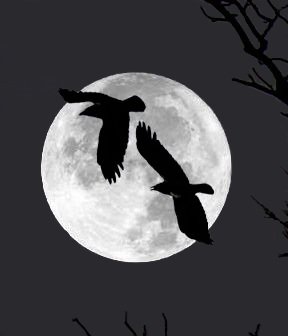 Ночные хищники - луна, силует - оригинал