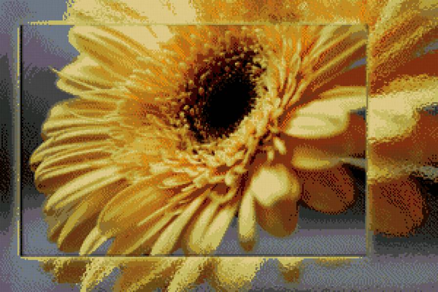 гербера с отражением - гербера, цветы - предпросмотр