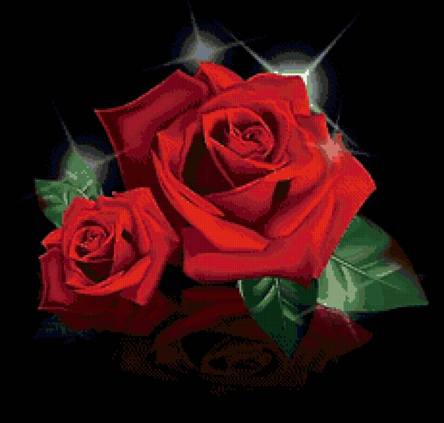 роза - предпросмотр