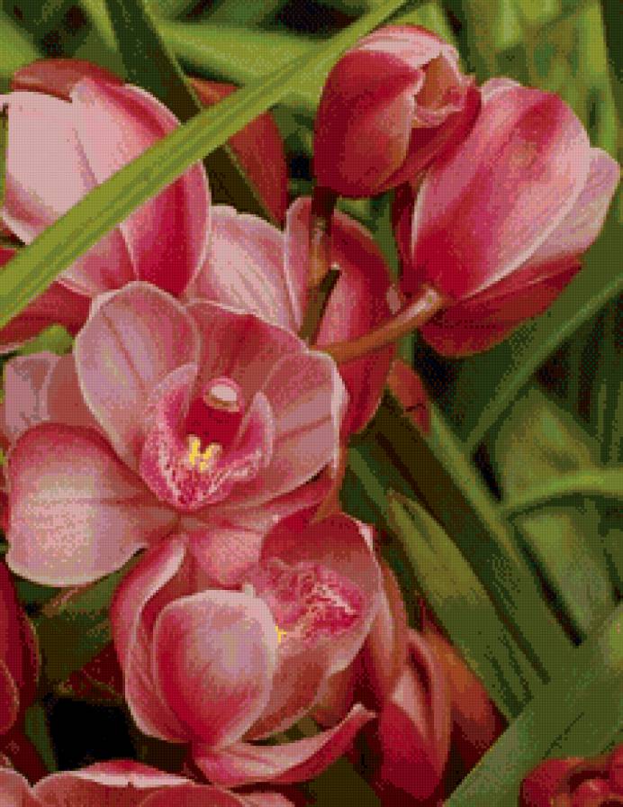 цветы - цветы - предпросмотр