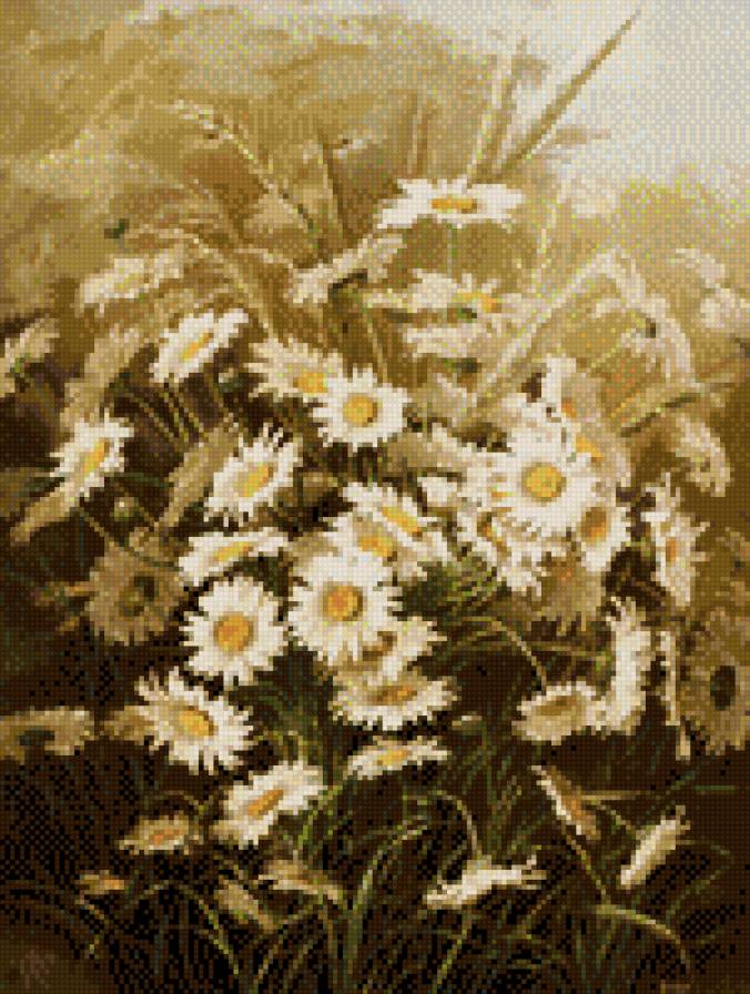 ромашки в коричневых тонах - предпросмотр