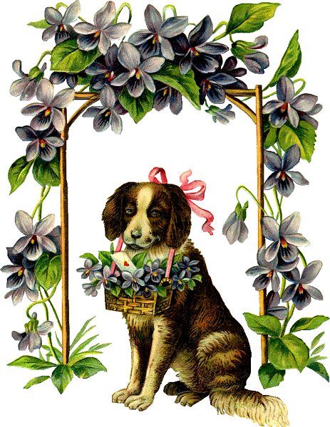 собака в арке - оригинал