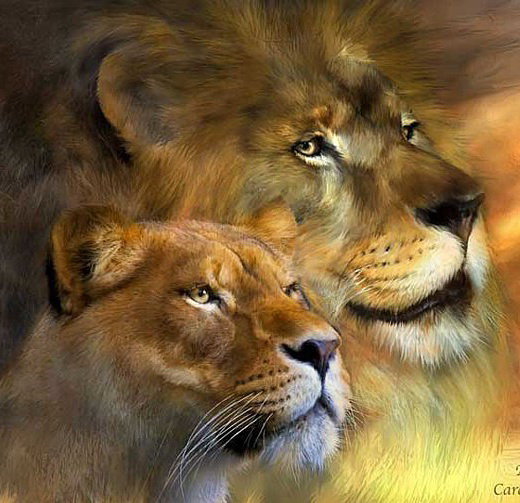 львиная пара - дикие кошки - оригинал