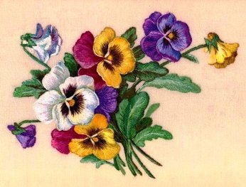 анютины глазки - оригинал