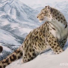 Схема вышивки «Снежный барс»