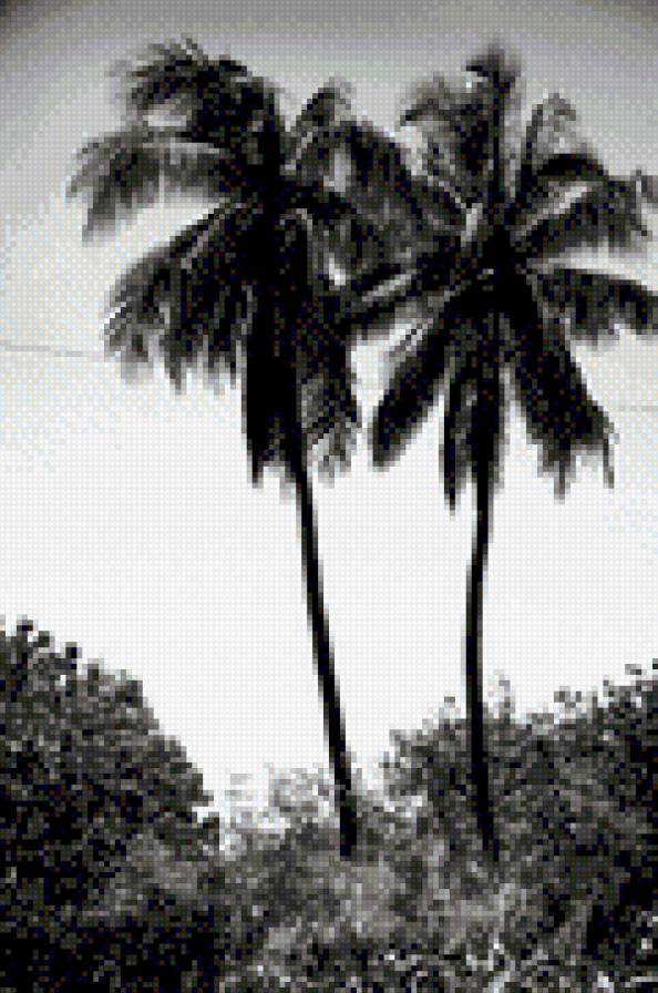 Гаваи - природа - предпросмотр