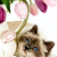 Схема вышивки «кот с тюльпанами»