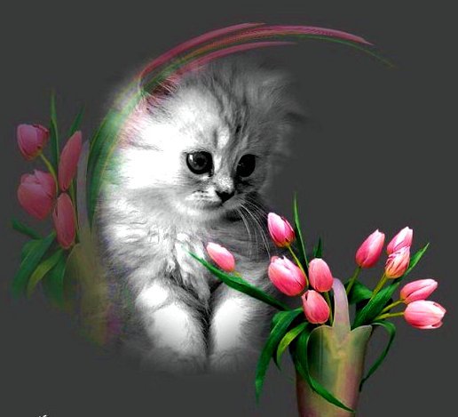 котенок с тюльпанами - цветок, котенок, кот, тюльпаны - оригинал