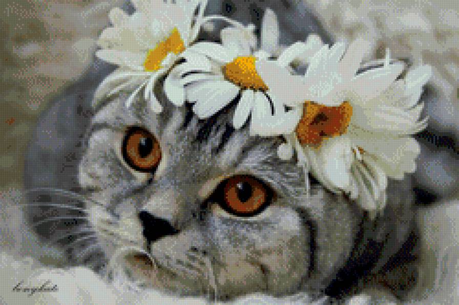 Киска в ромашках - кошка, цветы, ромашка, кот - предпросмотр