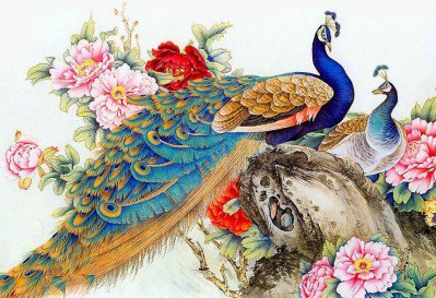 павлины - картина, живопись, восток, птицы, павлины, павлин - оригинал