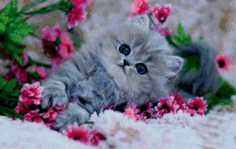 котенок вцветах - цветы, котенок - предпросмотр