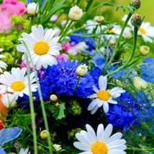 Схема вышивки «цветочки»