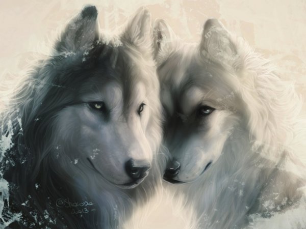 волки - волк, животные, природа - оригинал