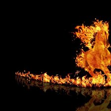огненный конь