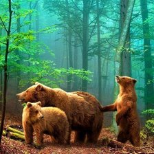 Три медведя