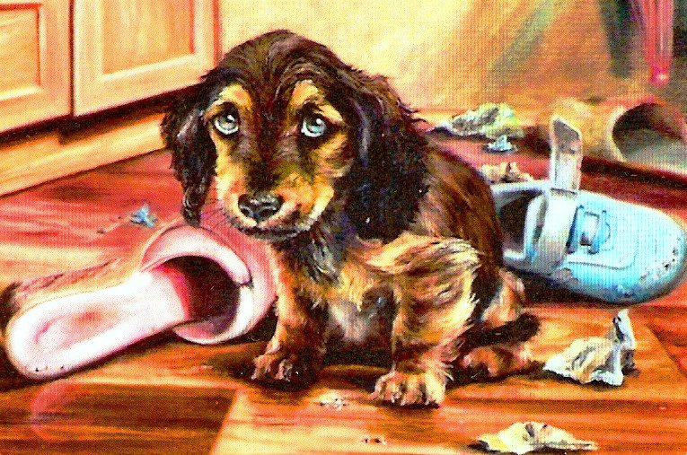 провинился - животные, собаки, пано, картина - оригинал