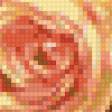 Предпросмотр схемы вышивки «птицы и розы» (№759072)