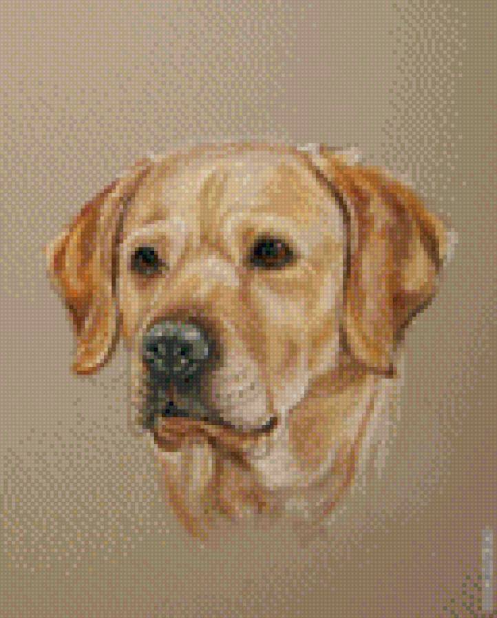 собака - предпросмотр